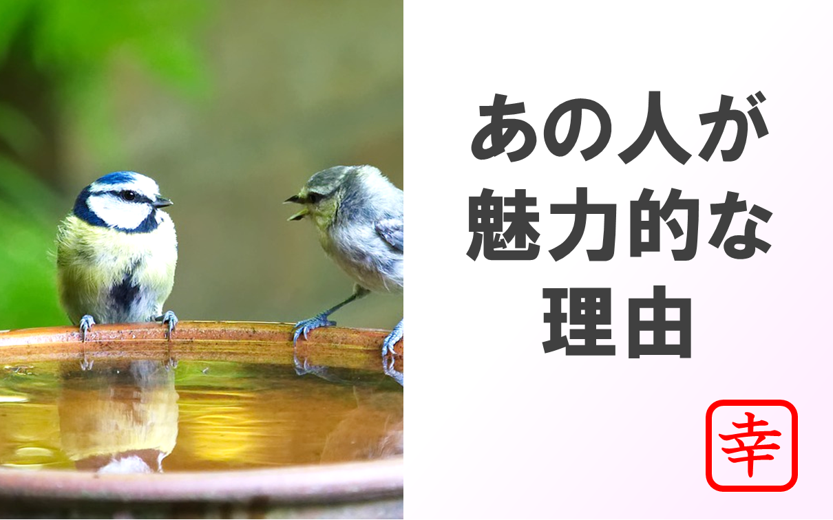 会話をしている2匹の鶏の画像。あの人が魅力的な理由